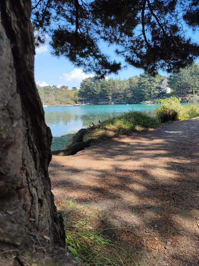 Le 3 Vue Avec Jardin 100m De La Et De La Thalasso Apartamento