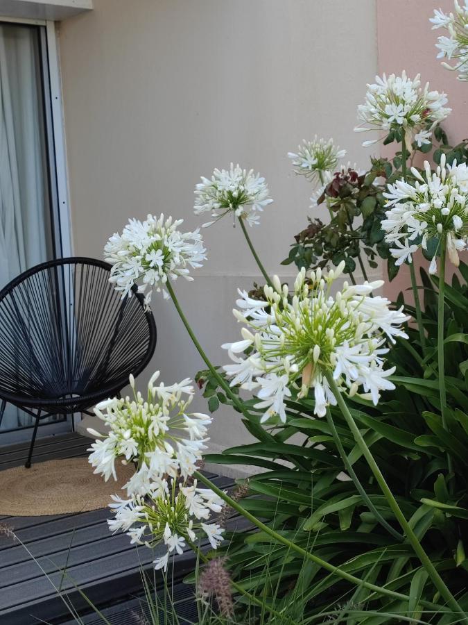 Le 3 Vue Avec Jardin 100m De La Et De La Thalasso Apartment *