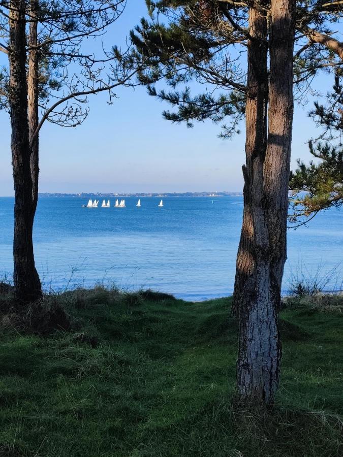 Appartement Le 3 Avec Jardin Prive 100m De La Concarneau