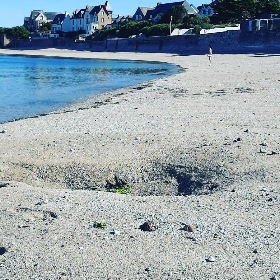 Le 3 Avec Jardin Prive 100m De La Concarneau